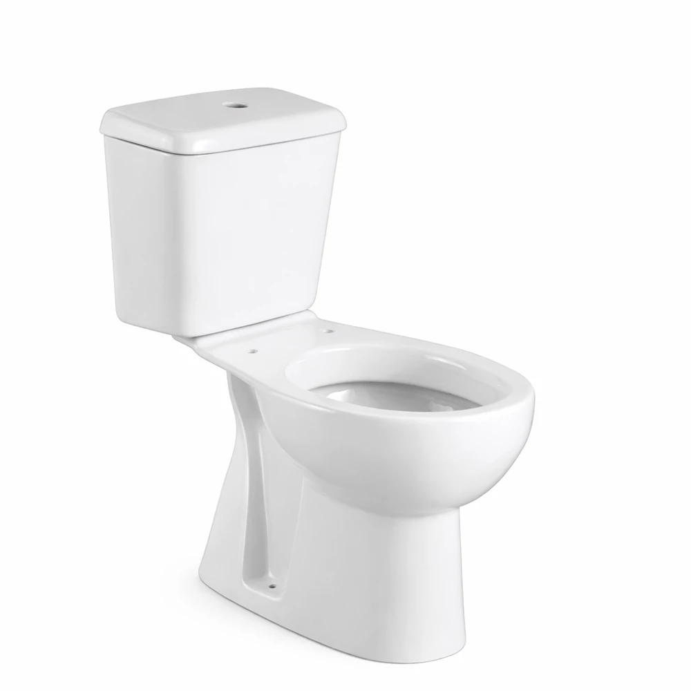 WC monoblocco