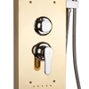 Immagine 4/4 - Pannello doccia Gold, acciaio inox